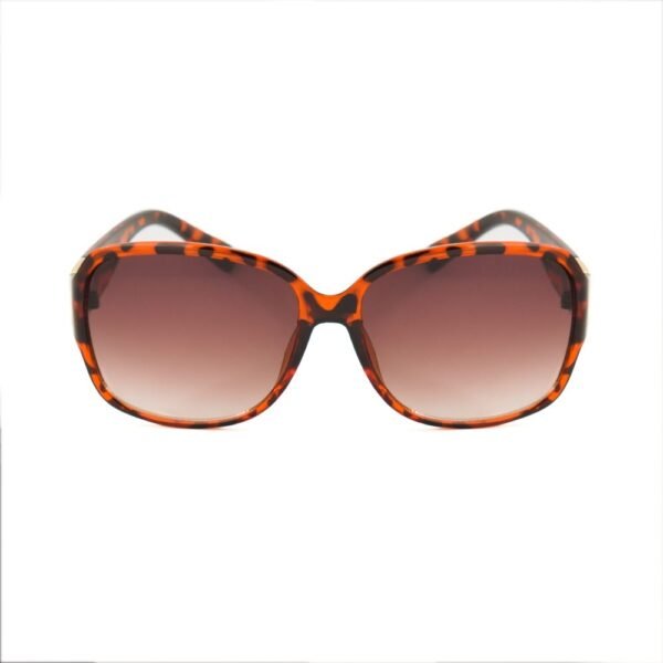 Brown Resin Sunglasses