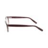 Burgundy Acetate Frames