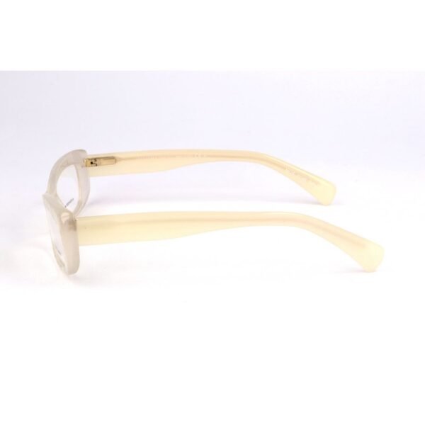 4709462.jpeg Bicolor Acetate Frames