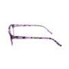 Purple Plastic Frames