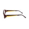 4731098.jpeg Bicolor Acetate Frames