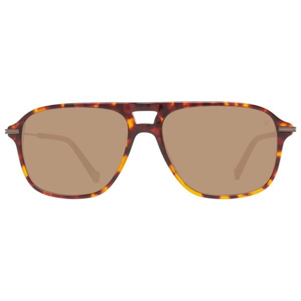 4731969.jpeg Brown Acetate Sunglasses