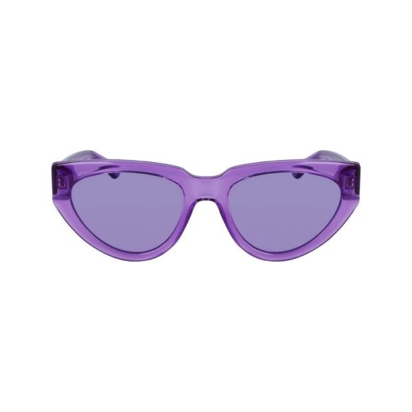 Purple Injected Sunglasses
