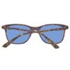 Brown Plastic Sunglasses