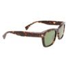 Brown Acetate Sunglasses