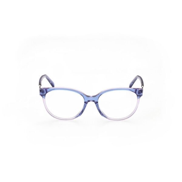Blue Acetate Frames