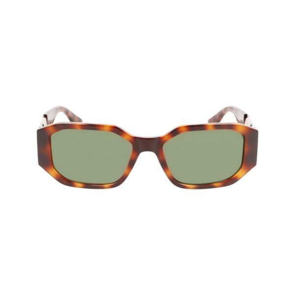 Brown Injected Sunglasses