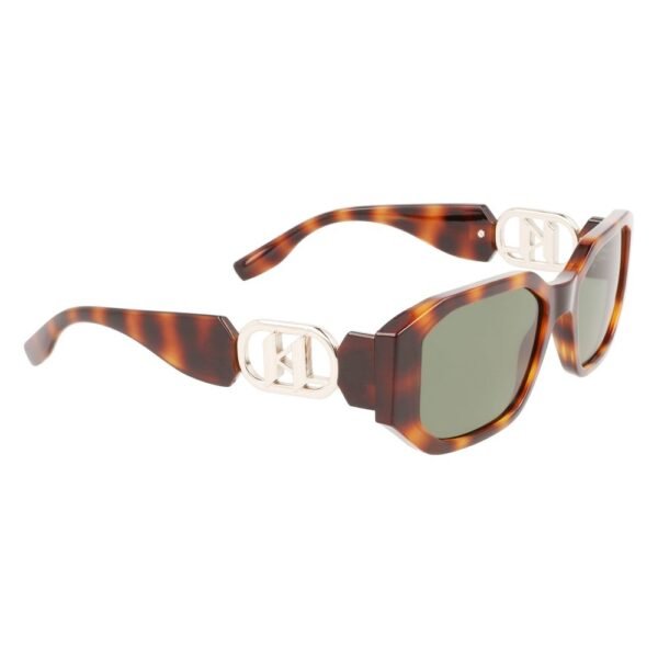 Brown Injected Sunglasses