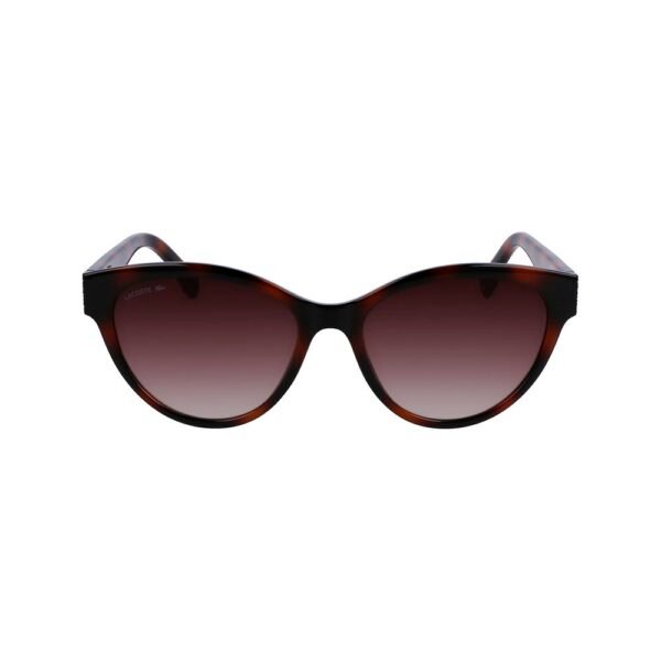 Brown Injected Sunglasses