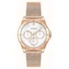 Gold Stainless Steel Watch