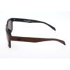 Brown Acetate Sunglasses