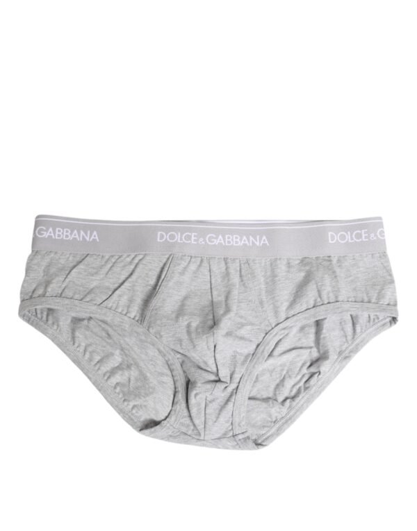 8264511-1.jpeg Gray Cotton Stretch Regular Brief Underwear