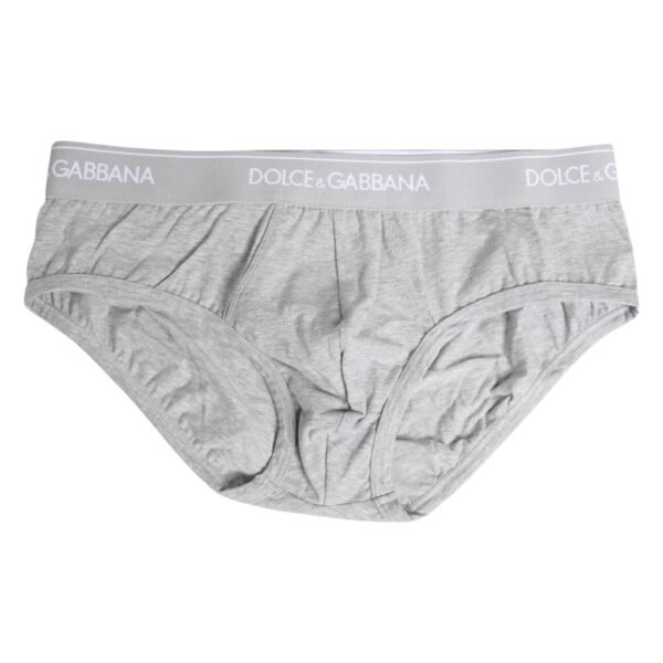 8264512.jpeg Gray Cotton Stretch Regular Brief Underwear