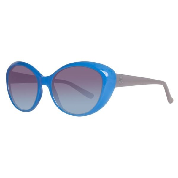 8545094.jpeg Blue Injected Sunglasses