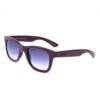 Purple Acetate Sunglasses