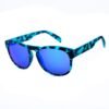 Blue Acetate Sunglasses