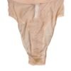 Beige Sheer Mesh High Waist Panty Underwear