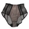 Black Sheer Polka Dot Lace High Waist Underwear