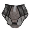 Black Sheer Polka Dot Lace High Waist Underwear