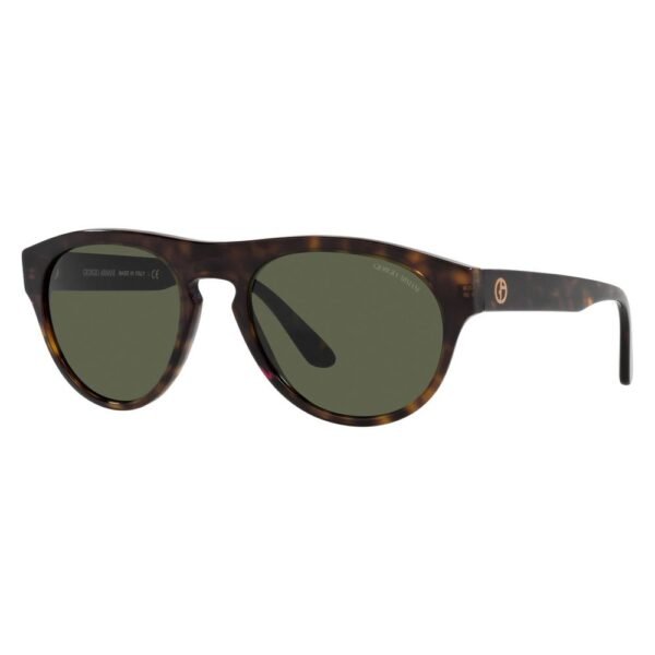 Brown Acetate Sunglasses
