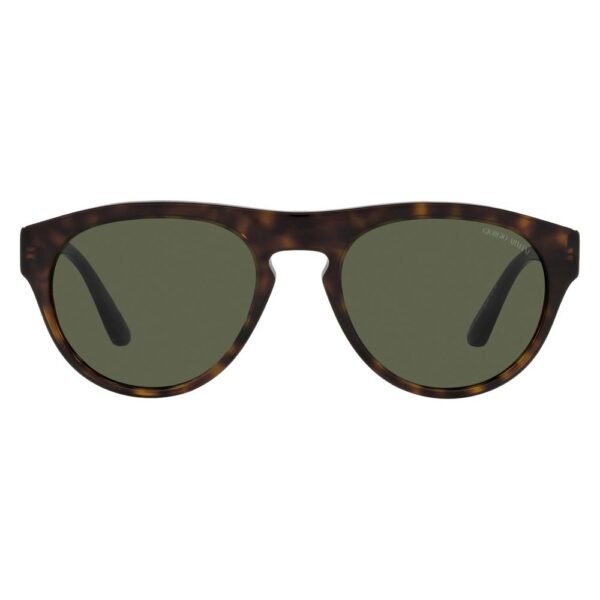 Brown Acetate Sunglasses
