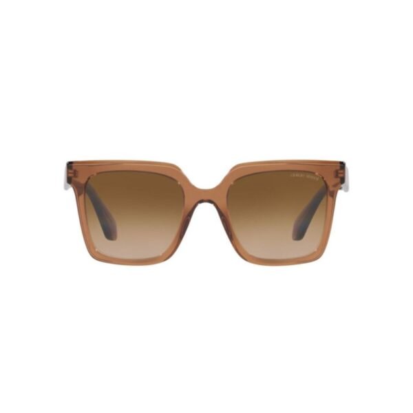 Brown Acetate Sunglasses