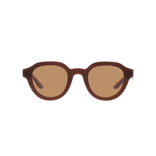 Brown Acetate Sunglasses