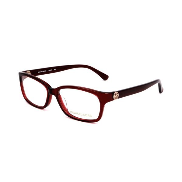 Burgundy Plastic Frames