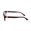 Burgundy Plastic Frames