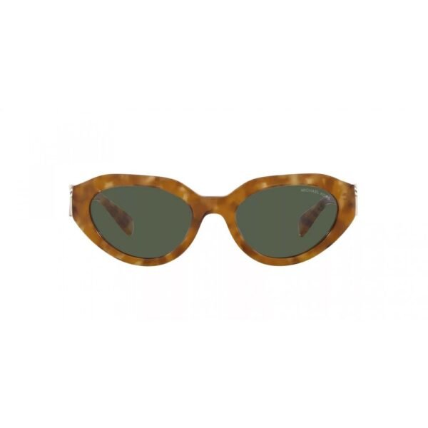 Brown Acetate Sunglasses