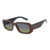 Brown Resin Sunglasses