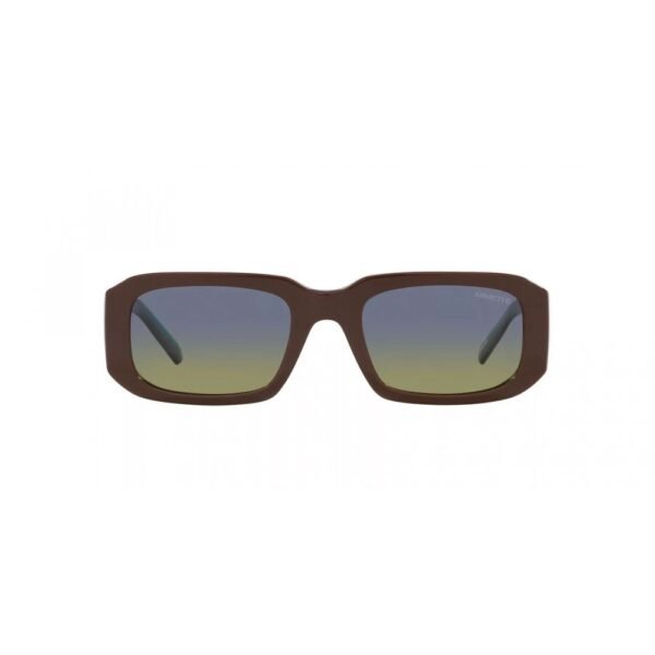 Brown Resin Sunglasses
