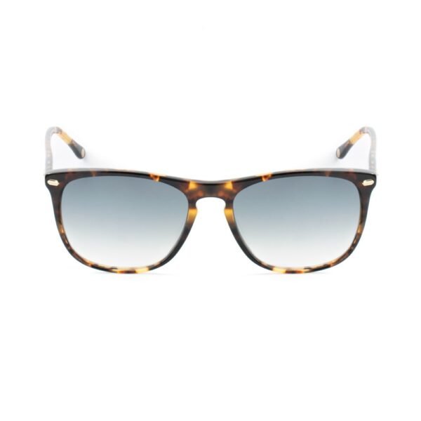 Brown Acetate Sunglasses