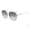 Gray Titanium Sunglasses