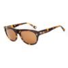 Brown Acetate Sunglasses