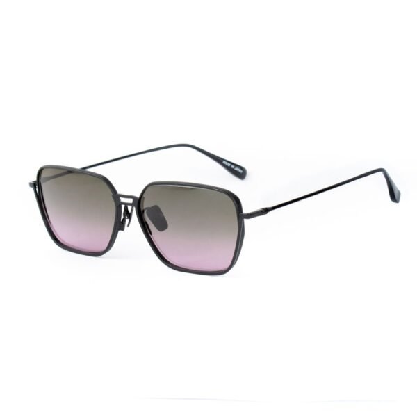 Black Titanium Sunglasses