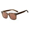 Brown Acetate Sunglasses