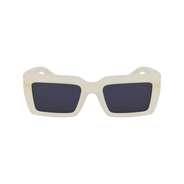 Gray Acetate Sunglasses