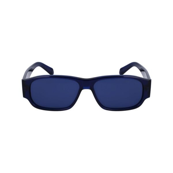 Blue Acetate Sunglasses