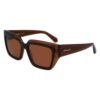 Brown Acetate Sunglasses
