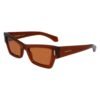 Brown Acetate Sunglasses