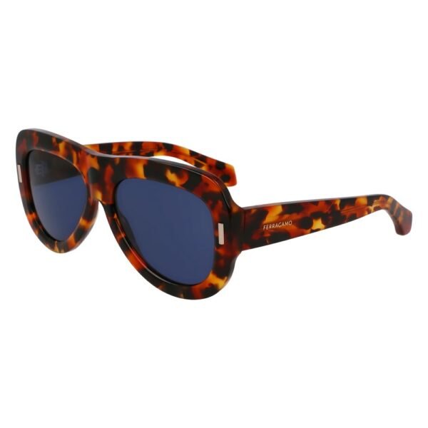 9787813.jpeg Brown Acetate Sunglasses