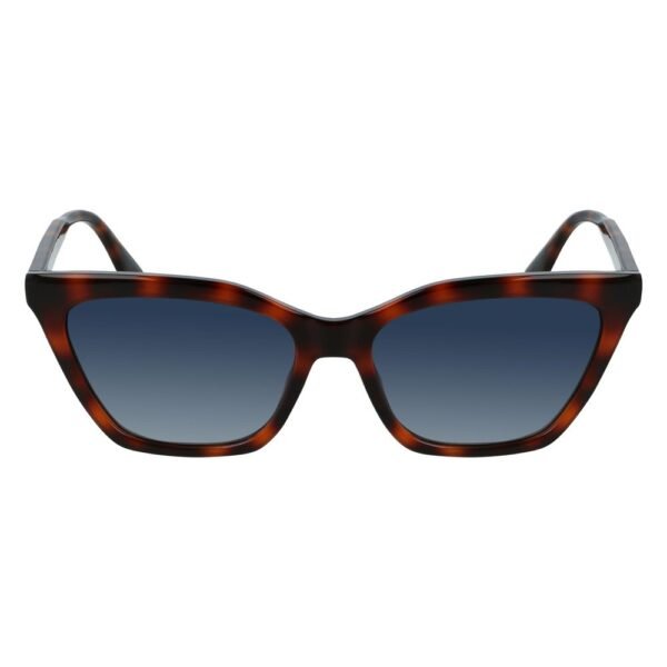 Brown Injected Sunglasses