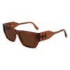 Brown Injected Sunglasses