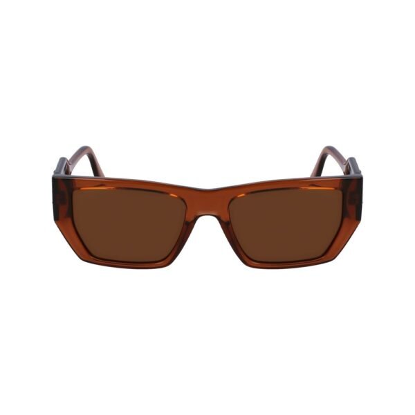 Brown Injected Sunglasses