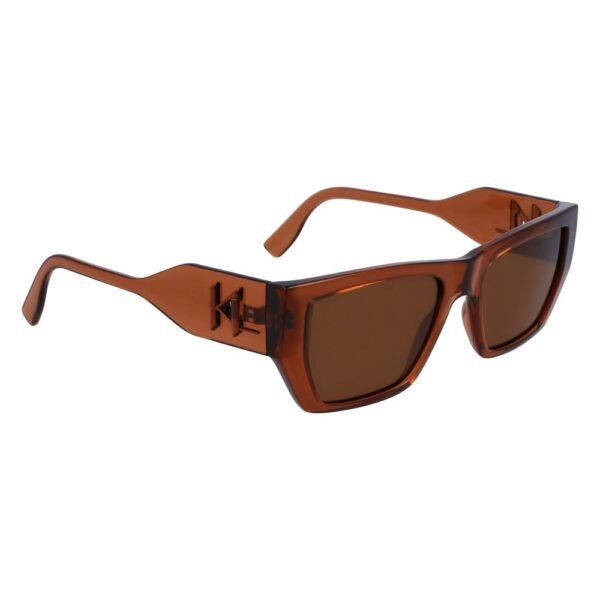 Brown Injected Sunglasses