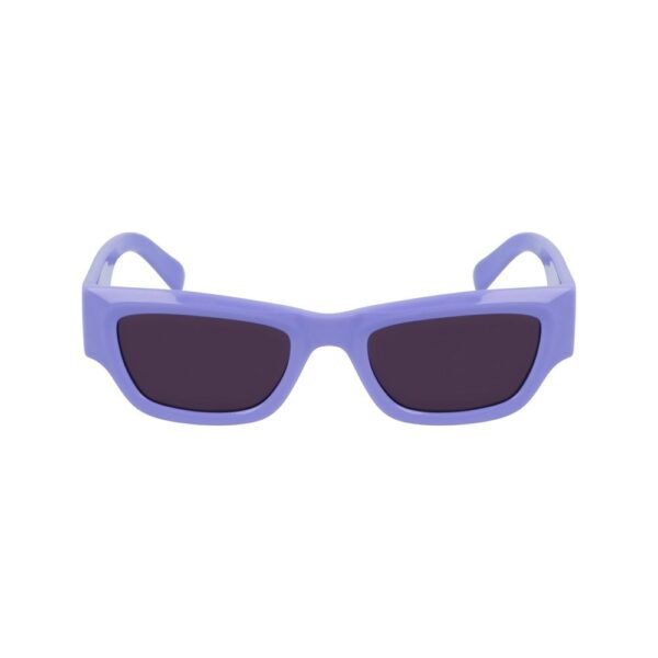 9788106.jpeg Purple Injected Sunglasses