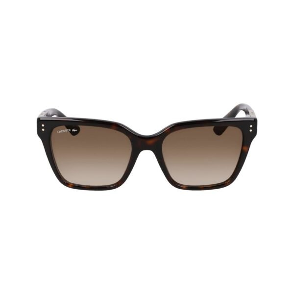 Brown Acetate Sunglasses