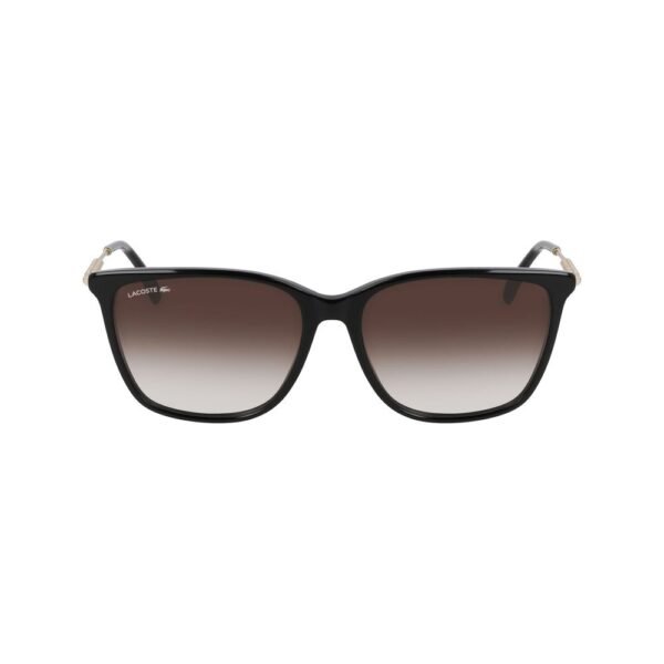 Black Acetate Sunglasses