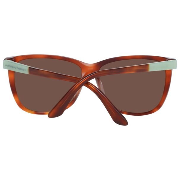 Brown Acetate Sunglasses